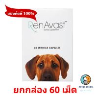 Renavast dog อาหารเสริมโปรตีน บำรุงไตสุนัข exp8/2024