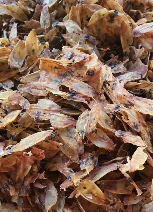 Dried pusit Lazada PH