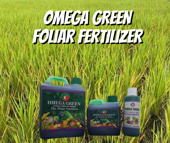 Omega Green Foliar Fertilizer (1 Liter) Lazada PH