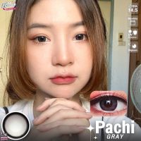 คอนแทคเลนส์ (Winklens) รุ่นpachi gray/brown สายตาปกติและค่าสายตา (-0.50)-(-10.00)