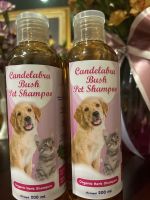 Candelabra Bush Pet Shampoo