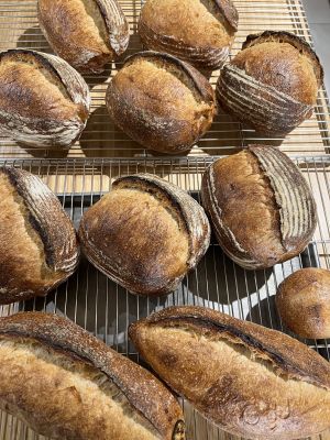 ขนมปัง ซาวโด Sourdough Bread
(Country Rye+wheat)