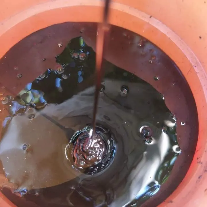 Molasses Lazada PH Buy sell online Bird Feed with cheap price