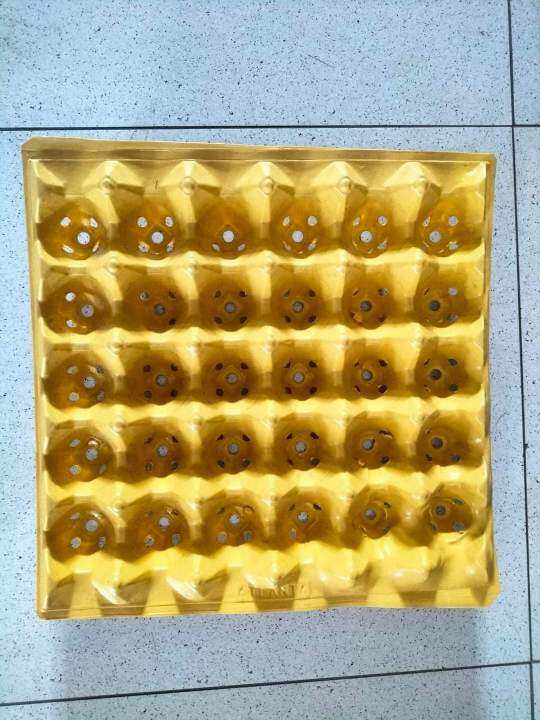 Plastic Egg Trays Lazada PH