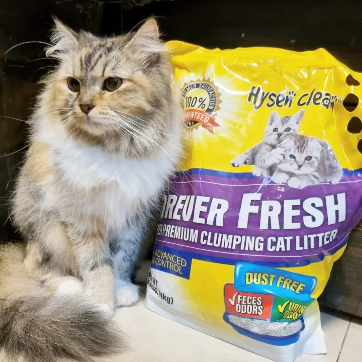 Forever Fresh Super Premium Clumping Cat Litter by Clissora Pets 4KG