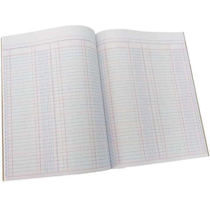 Journal Columnar ledger Lazada PH