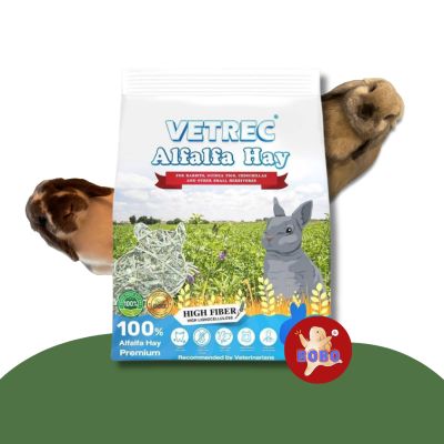 หญ้าอัลฟาฟ่า สำหรับกระต่ายและสัตว์กินพืชขนาดเล็ก