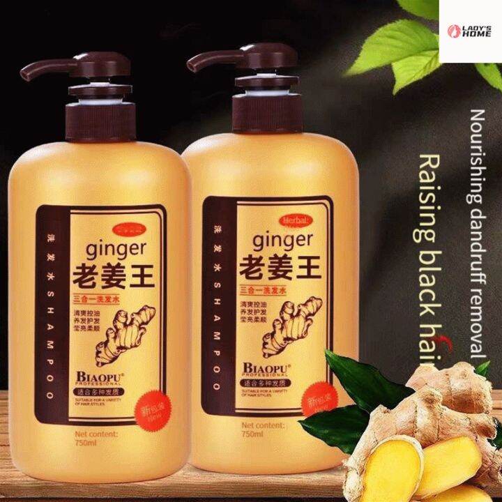 Shampoo Select beauty Ginger King Shampoo Ginger antidamage increase hair control oil dandruff