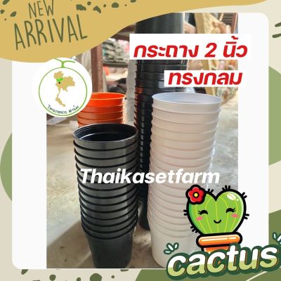 กระถางแคคตัส2นิ้วชุดที่4 ทรงกลมขายดี‼️สวย แข็งแรง ทนทาน🌵🌼มีให้เลือก3สี