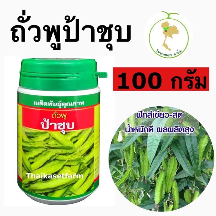 ถั่วพูป้าชุบ-100-กรัม-ดกมากตลาดต้องการ