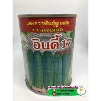 แตงกวาอินดี้ 17 100g