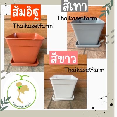 กระถางคละสี5.5 นิ้วพร้อมจานรอง(มีตัวล้อค)หนา แข็งแรง ทนทาน‼️🌵🌸