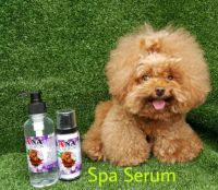 YaNa Spa Serum น้ำหอม+บำรุงขนสุนัขและแมว ขนาด 250 ml.