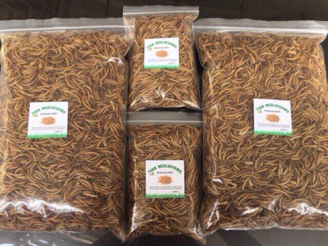 หนอนนกอบแห้ง-dried-mealworms-หนอนคัด-ไม่คัดตัวหนอน-50-100-กรัม-pet-ชูการ์-หนูแฮมเตอร์-เม่นแคระ-นก-ปลา