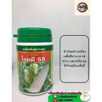 ข้าวโพดโชคดี 59