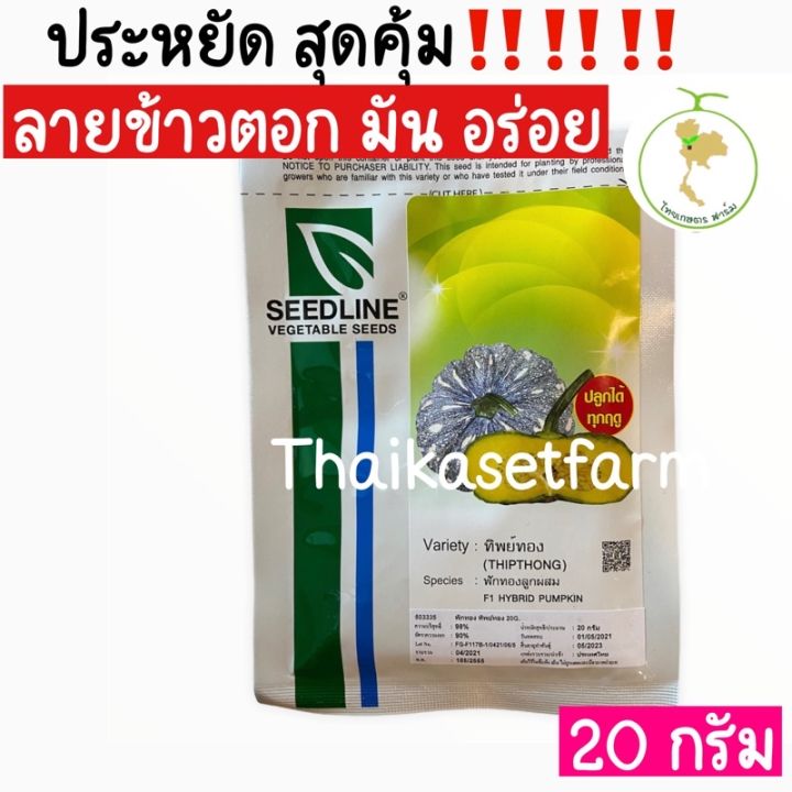 ฟักทองลูกผสมทิพย์ทอง20-กรัมมันอร่อย-ลายข้าวตอก