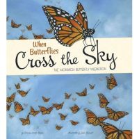 WHEN BUTTERFLIES CROSS THE SKY HB BY DKTODAY