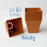 กระถางเเคคตัส กระบองเพชร ขนาด 2.8 นิ้ว ทรงสี่เหลี่ยมจัตุรัส ไม่มีถาดรอง