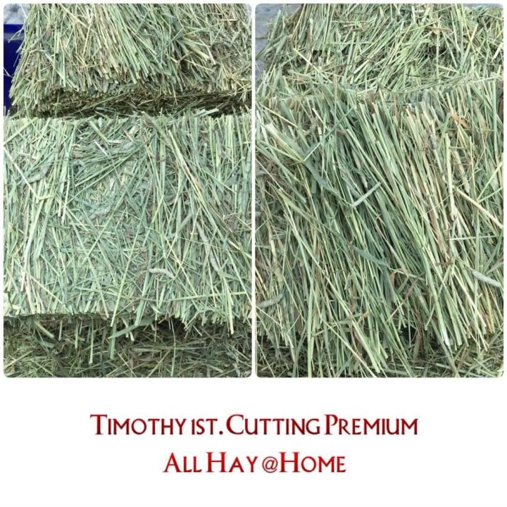 premium-alfalfa-hay-หญ้าอัลฟาฟ่าเกรดพรีเมี่ยม-แบบ-ปึก-5-kg