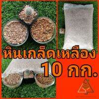 10 กก. หินเกล็ดเหลือง