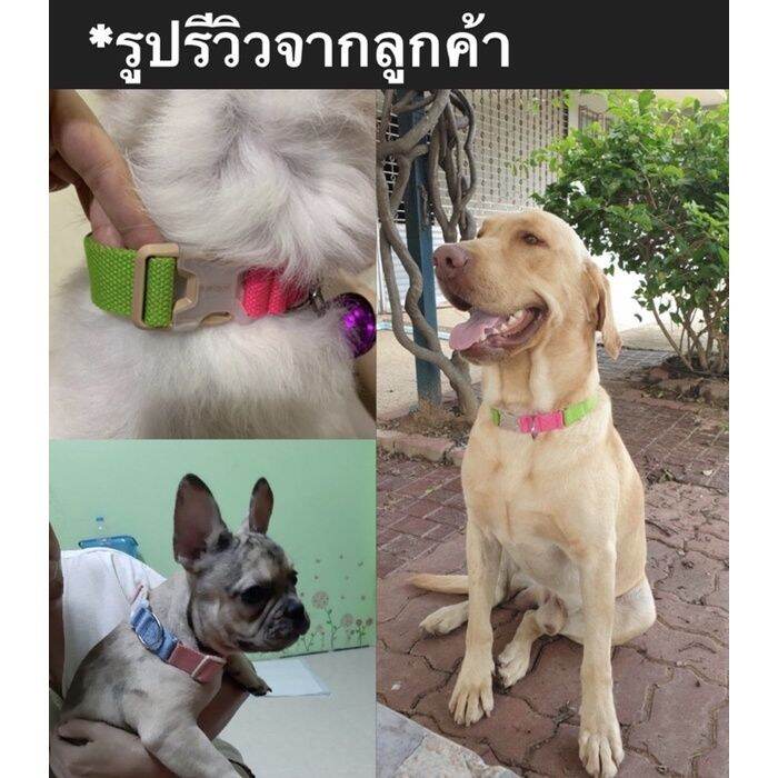 ปลอกคอ-ปลอกคอสุนัข-ปลอกคอหมา-แมว-สีพาสเทล-doglemi-พร้อมส่ง