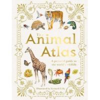 THE ANIMAL ATLAS BY DKTODAY