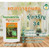 แตงกวารุ่งเจริญ 50กรัม100กรัมดกมาก13-14ซม.ดกมาก?