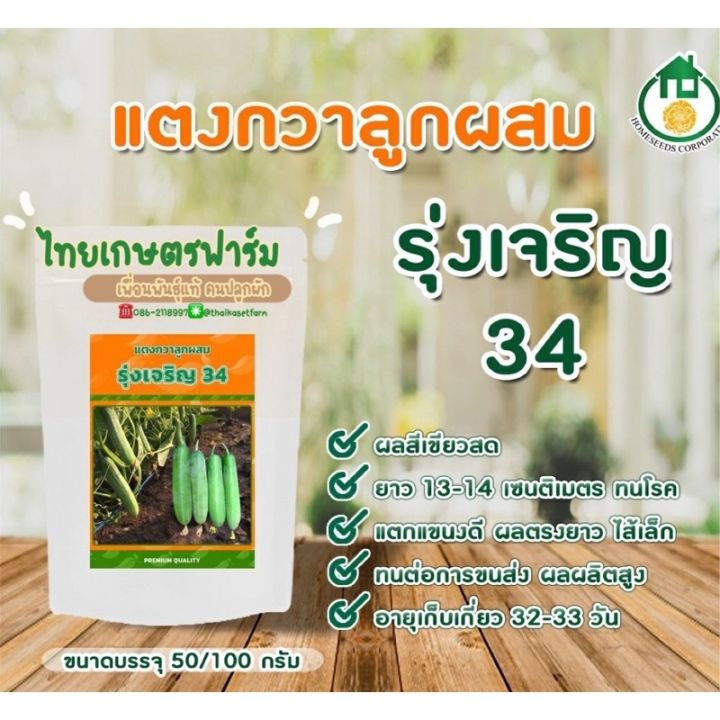 แตงกวารุ่งเจริญ 50กรัม100กรัมดกมาก13-14ซม.ดกมาก🥒