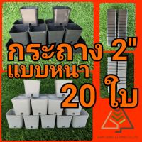 กระถางพลาสติก (หนา) สี่เหลี่ยม 2" 20 ใบ