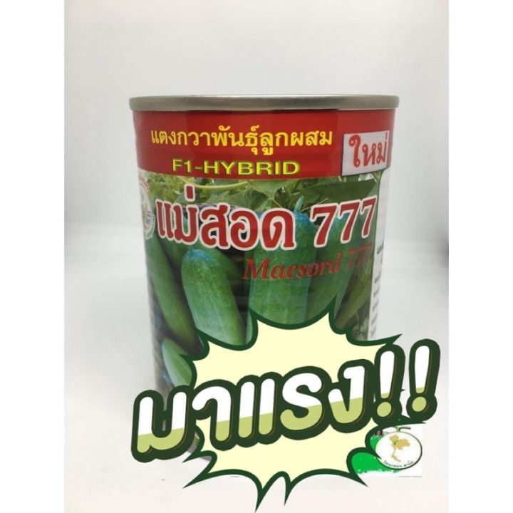 เมล็ดพันธุ์แตงกวา แม่สอด 777 ใหม่ดกขายดี‼️‼️