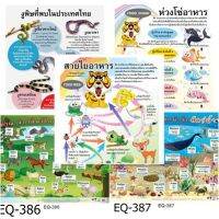 สื่อ สัตว์และแมลง ต่างๆ โปสเตอร์ภาพ กระดาษ หุ้มพลาสติก 50x70 ซม.