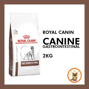 Cheapest royal canin hotsell gastro intestinal dog food