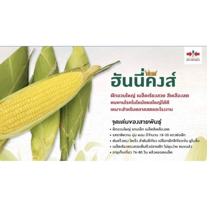 ข้าวโพดหวานฮันนี่คิงส์ศรแดง1กิโลกรัม-ขายดี