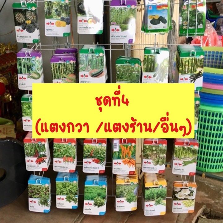 ผักซองศรแดงราคา 25 บาท มีให้เลือกหลายชนิด พันธุ์ดี งอกดี ผลผลิตดีชุดที่4