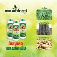 แพนต้าโกรว์ผู้ใหญ่สัมฤทธิ์500ซีซี?