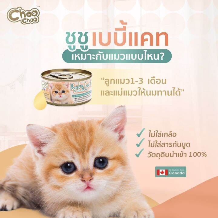 ส่งฟรี-แถมเบบี้แคท2กป-choochoo-baby-cat-ชูชู-อาหารเสริมซุปบำรุงสูตรลูกแมว-ยกลัง-24-กระป๋อง-อาหารลูกแมว-นมลูกแมว-เหมาะ