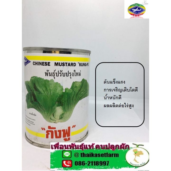 ผักกาดเขียวปลี-กังฟู