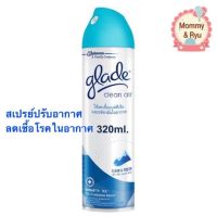 Glade เกรด คลีนแอร์ คลีน แอนด์ เฟรช 320ml.