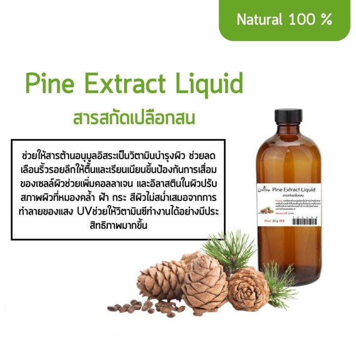 สารสกัดเปลือกสน Pine Extract Liquid Lazada.co.th