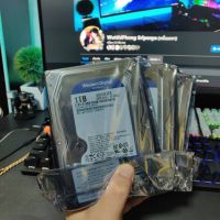 HDD WD BLUE 1TB SATA (มือ 1 JIB)