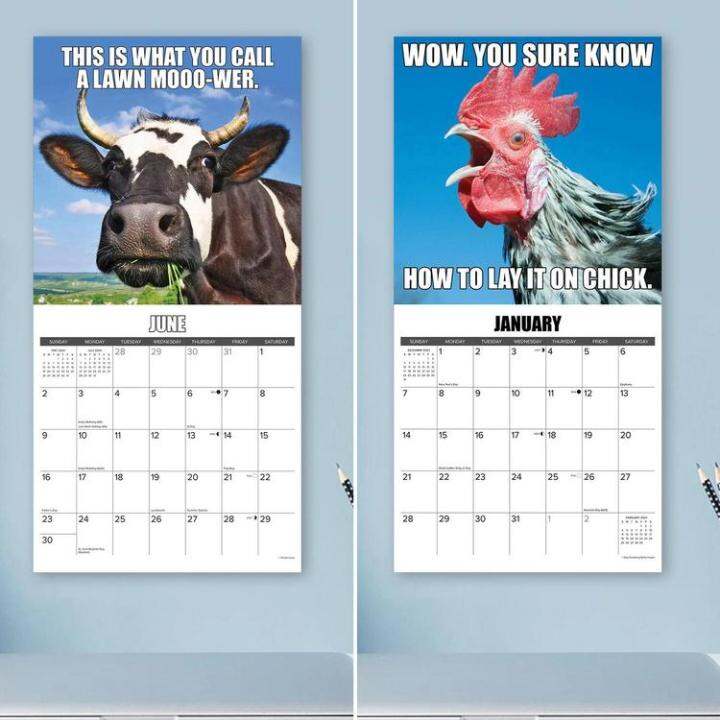 Funny Cow Calendar 2024 Animal 2024 Calendar Wall 21.5x29cm January