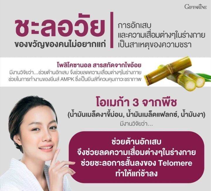 พร้อมส่ง-โพลิโคซานอล-โอเมก้า-3-จากพืช-โคซานอล-มัลติ-แพลนท์-โอเมก้า-3-ออยล์-น้ำมันงาขี้ม่อน-น้ำมันเมล็ดแฟลกซ์-วิตามินอี-ของแท้