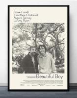 FX682 Beautiful Boy Movie Felix Van Groeningen Timothee Chalamet Film Custom Poster Art Silk Canvas Home Room Wall Print Decor