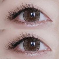 Tommy Brown / Kayo Brown / Icy Brown บิ๊กอาย สีน้ำตาล น้ำตาล 3 tone Pitchy 3tone Contact Lens Bigeyes คอนแทคเลนส์