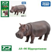 Takara Tomy Ania Animal Advanture As-06ฮิปโปโปเตมัสเรซิ่นเด็กการศึกษา Mini Action Figure ของเล่น Bauble