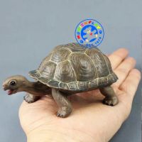 Munich Play - โมเดล Galapagos เต่ายักษ์ เขียว ขนาด 12.50 CM (จากหาดใหญ่)