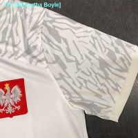 ✽ Eartha Boyle 2022 national team jersey Poland take home shirt Thai version of soccer fans with foreign trade quality European code