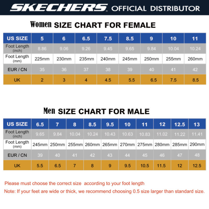 skechers-แผ่นเสริมพื้นรองเท้าเพื่อสุขภาพ-ฟองน้ำรองพื้นรองเท้า-insole-foot-care