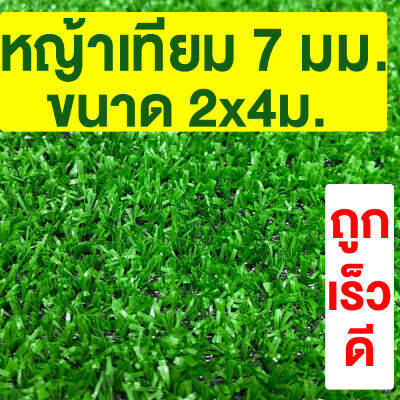 หญ้าเทียม เกรดA สูง 7มม. ขนาด 2x4ม. กันUV หญ้าเทียมราคาถูก หญ้าปลอม หญ้าเทียมถูกๆ คุณภาพดี สีไม่ซีด มีรูระบายน้ำ แต่งสวน จัดส่งไว