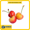 Cherry vàng mỹ size 9.5 0.25kg - mọng nước, trái chín đậm vị - ảnh sản phẩm 2